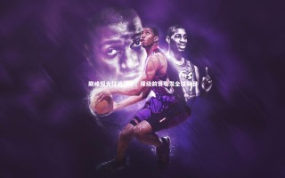 28圈网页版：巅峰恒大征战法甲，保级前景引发全球瞩目