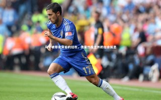 28圈网页版-马宁被带走背后的狂欢，流量热度之外的社会反思