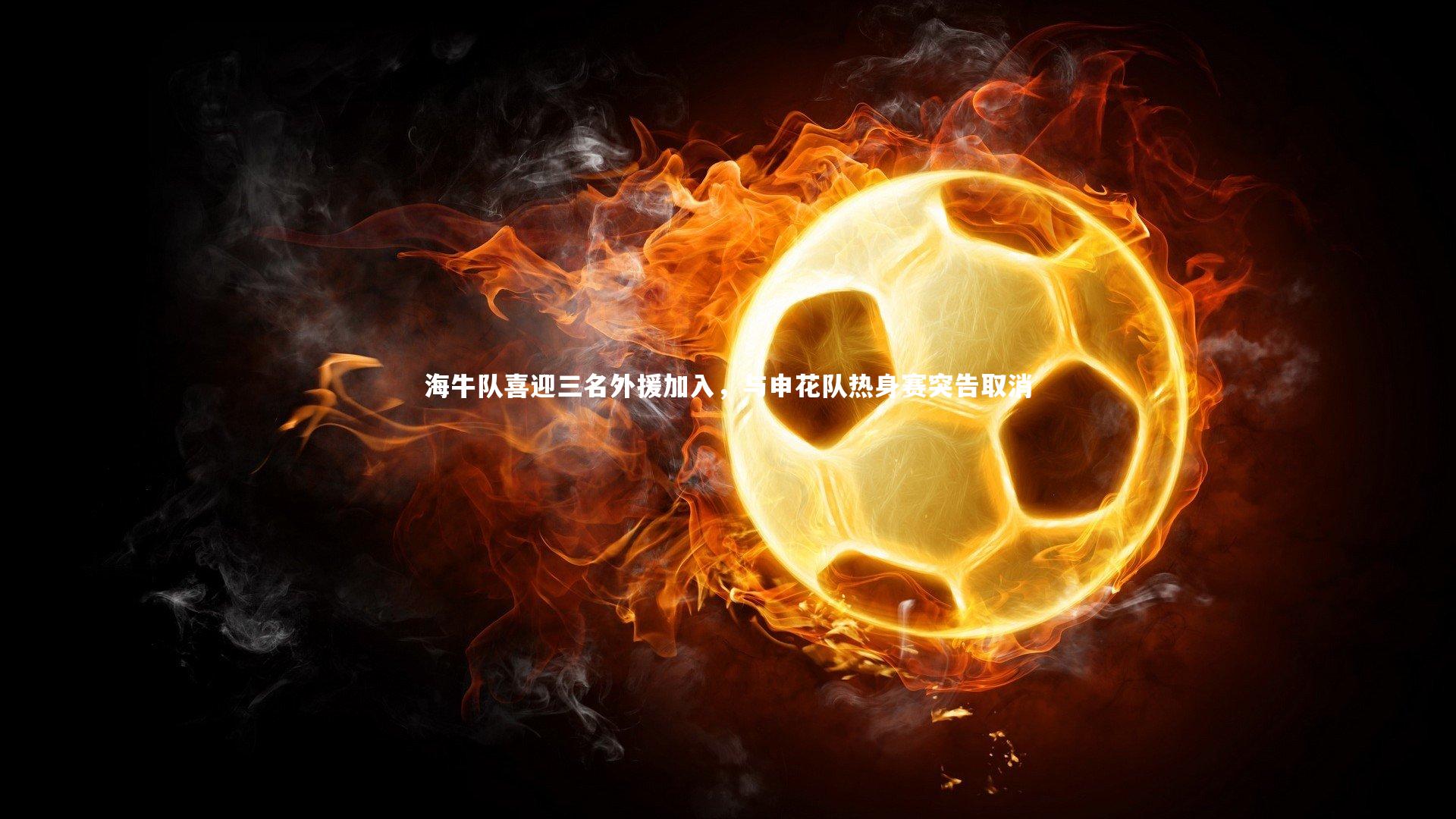 28圈_海牛队喜迎三名外援加入，与申花队热身赛突告取消-第1张图片-28圈-相信品牌的力量